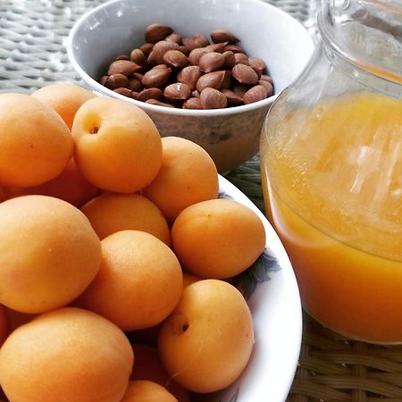 Horzay Stays Leh Ngoại thất bức ảnh
